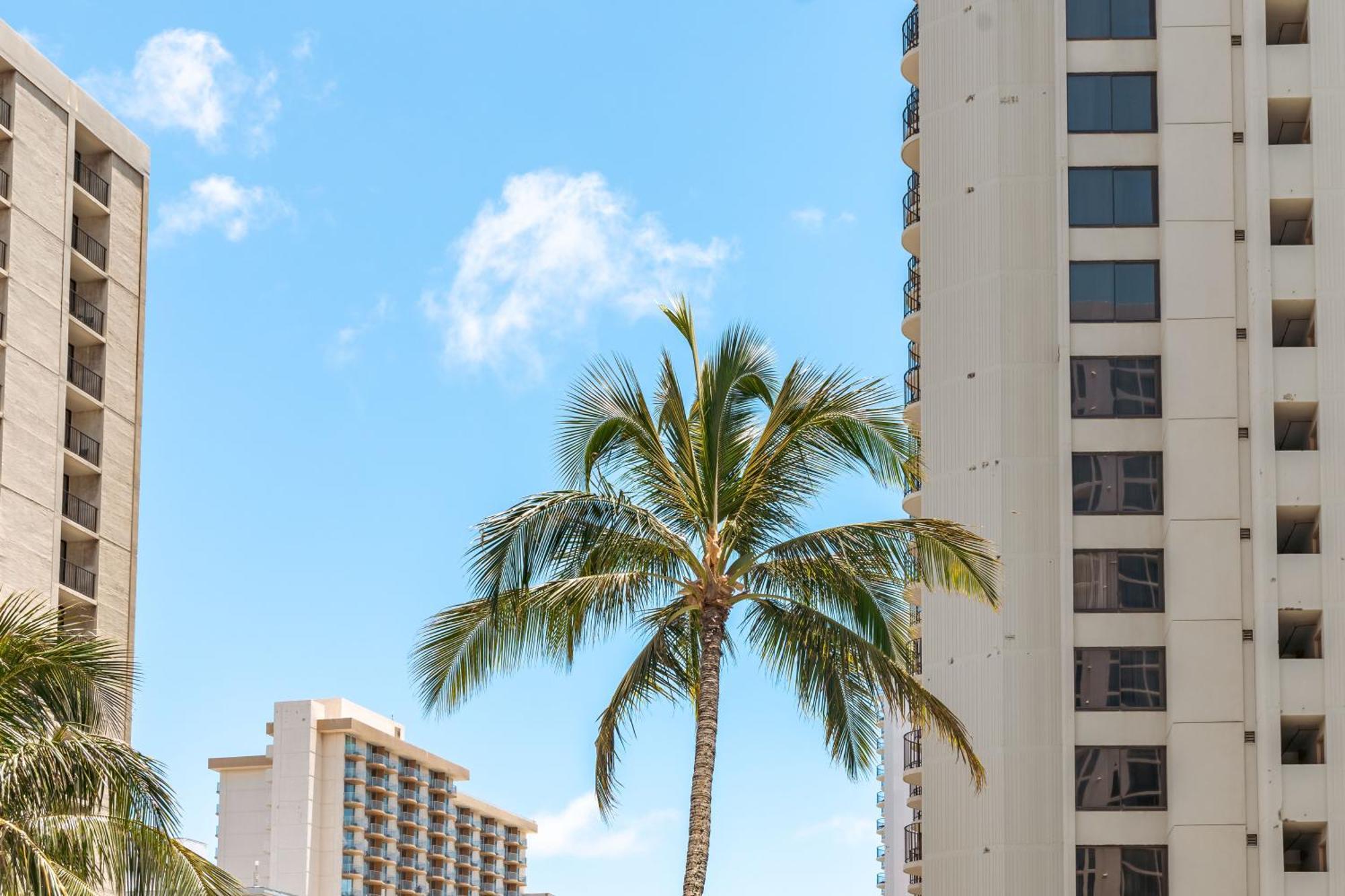 Ocean & Diamond Head Views - Near Beach - Parking! Honolulu Eksteriør bilde
