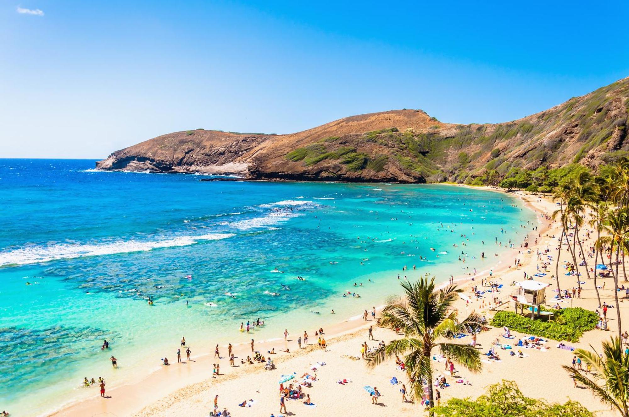 Ocean & Diamond Head Views - Near Beach - Parking! Honolulu Eksteriør bilde